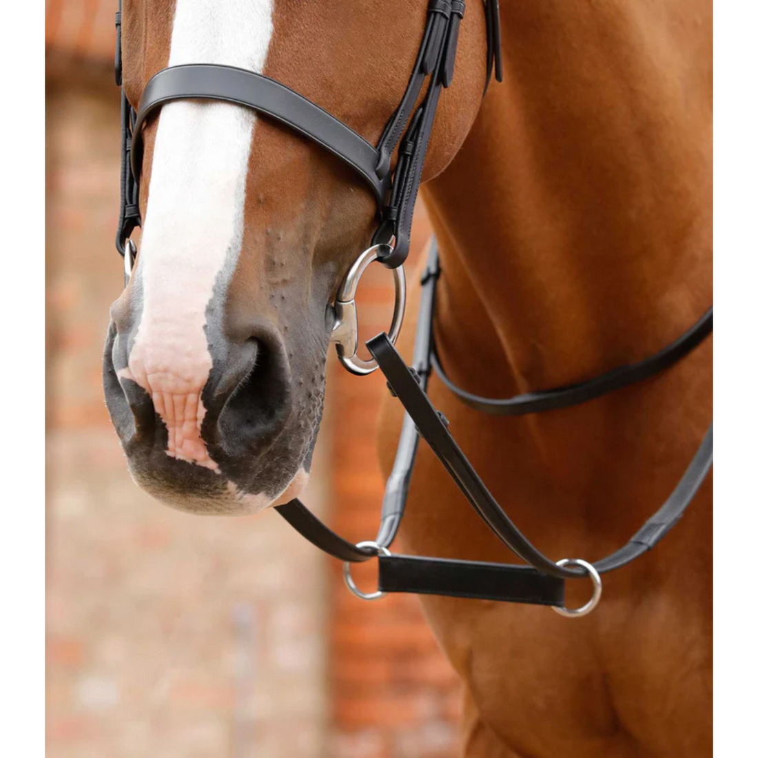 PEI Esperia Irish Martingale