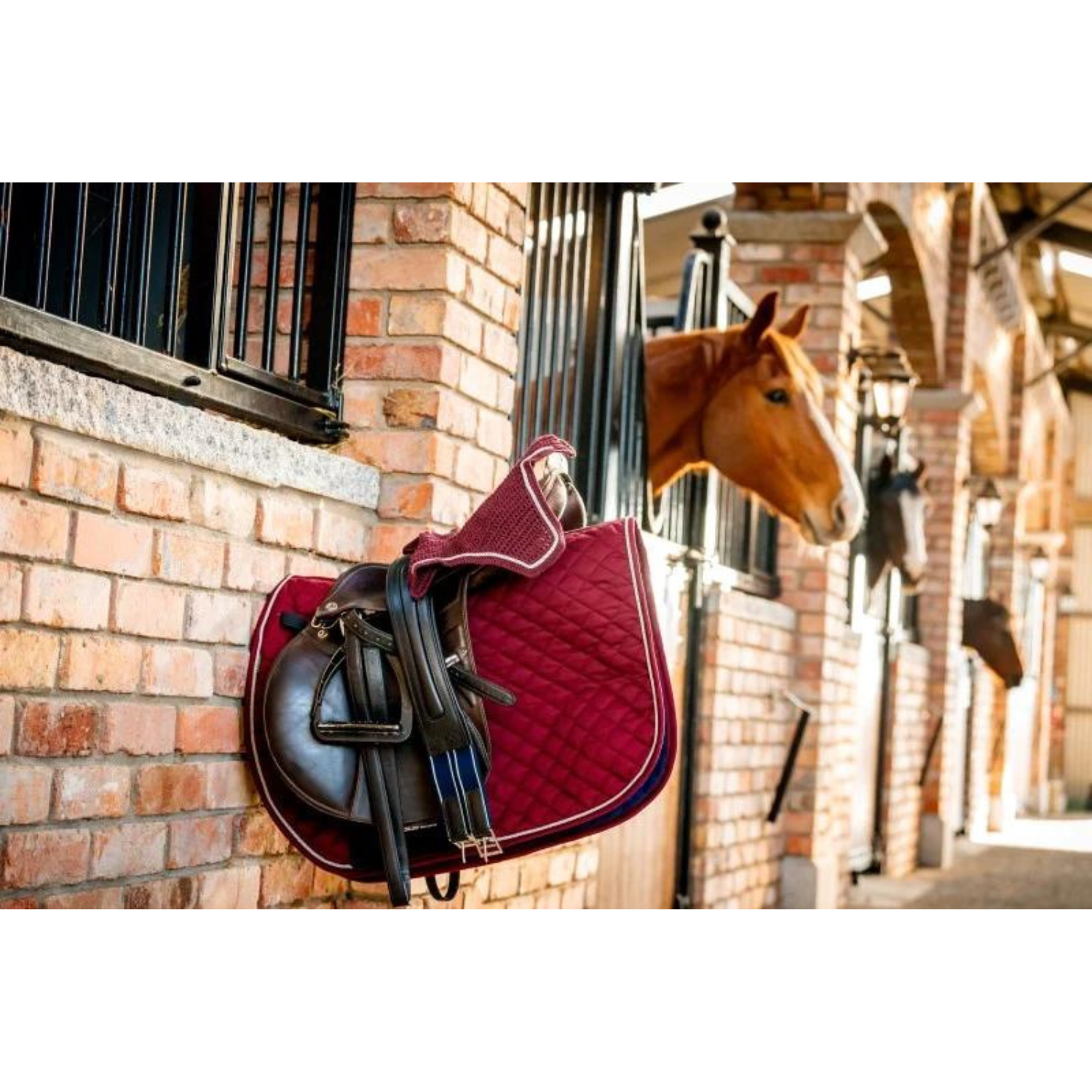 Horseware Signature Jump Pad