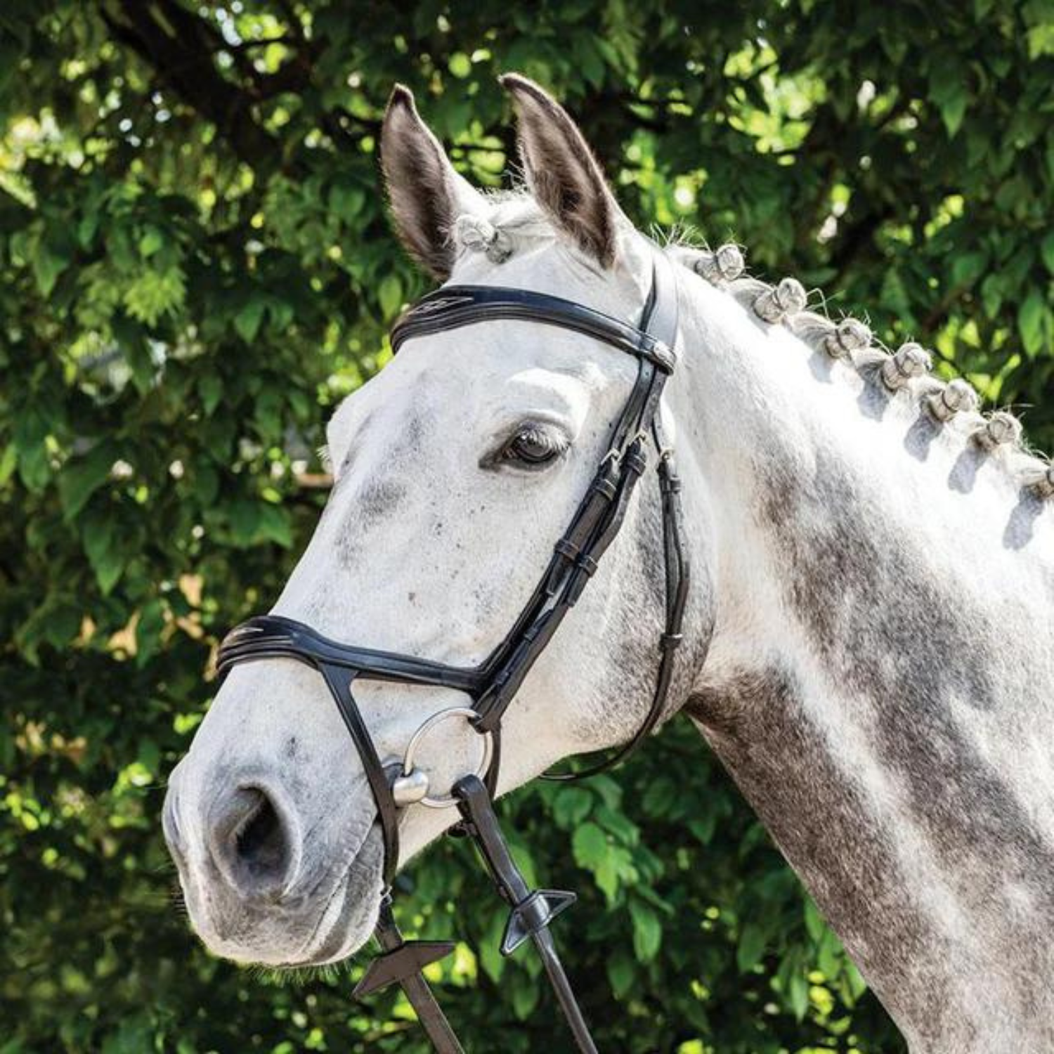 Prestige Italia Double Drop Bridle 3E143