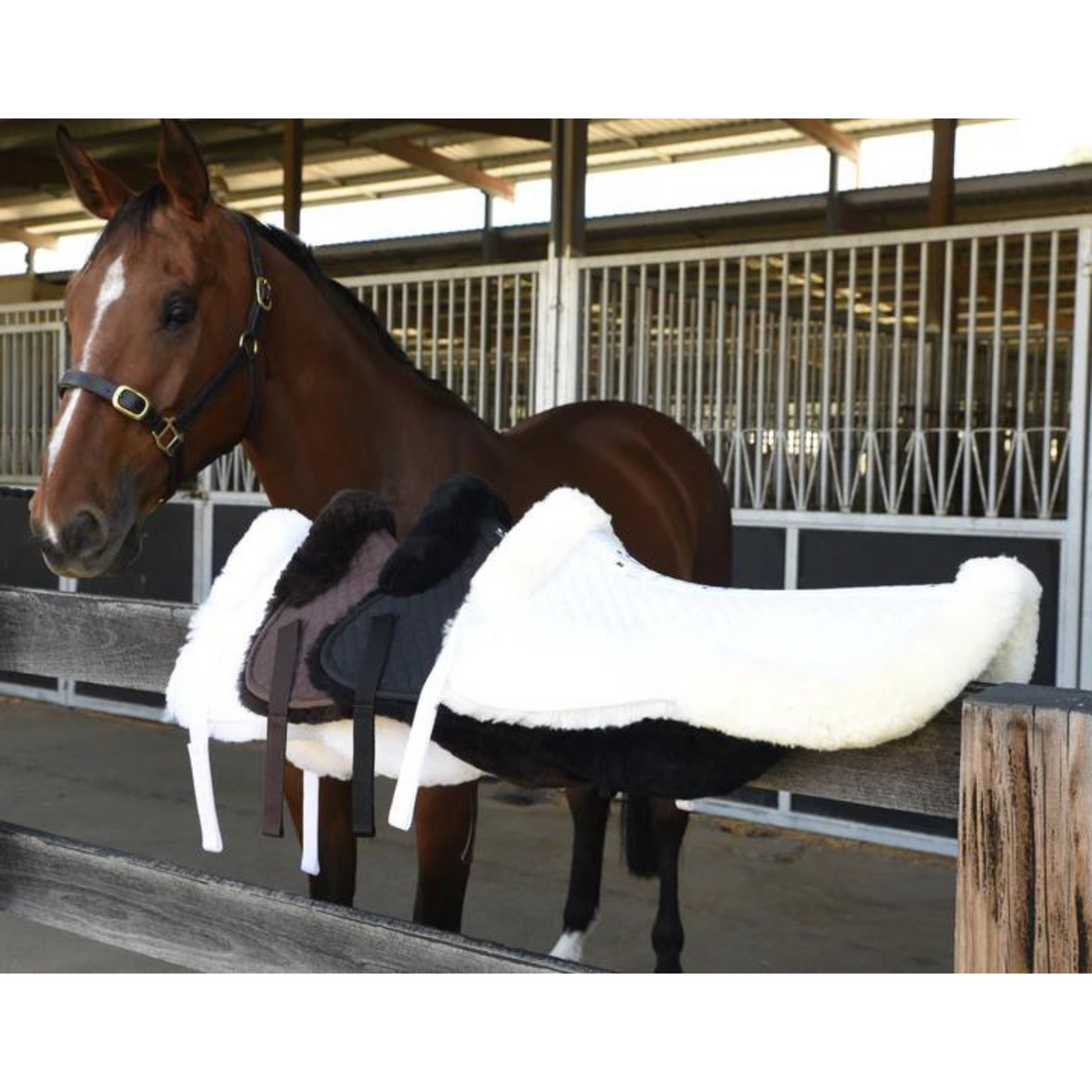 Grainge Balance Half Pad