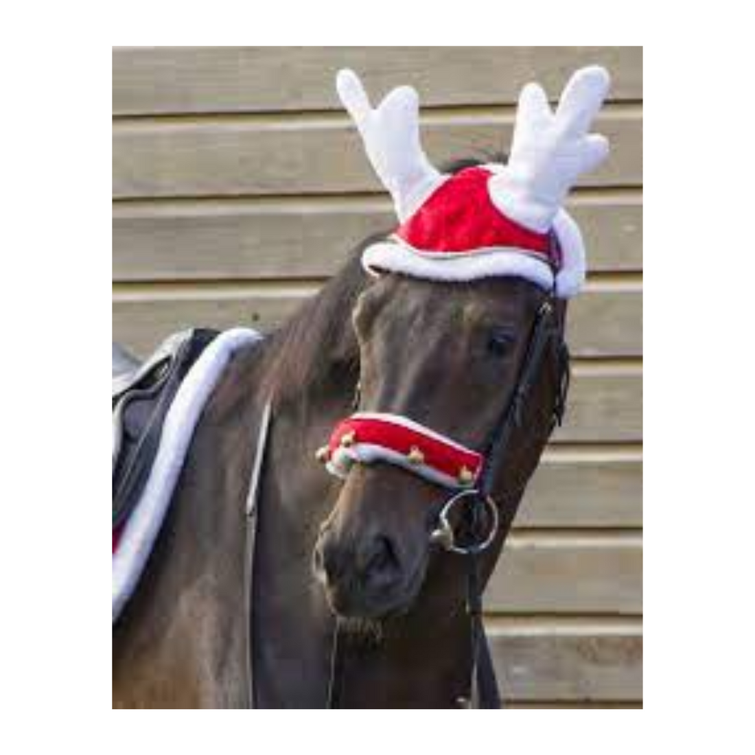 Horze Christmas Reindeer Cap