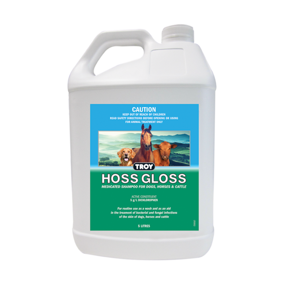 Troy Hoss Gloss