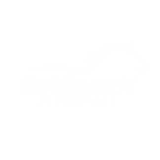 Saddleworld Devonport