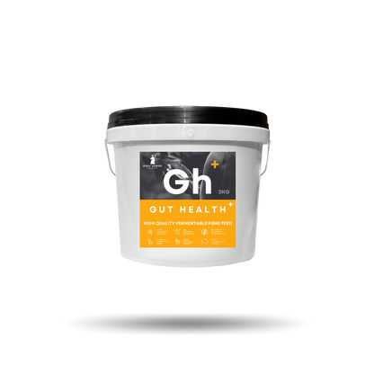 High Horse Gut Health Plus