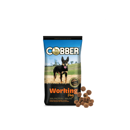 Cobber Working Dog 20kg
