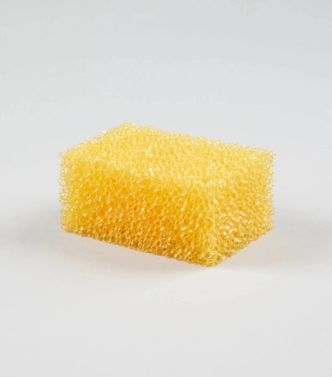Abrasive Sponge - Saddleworld Devonport