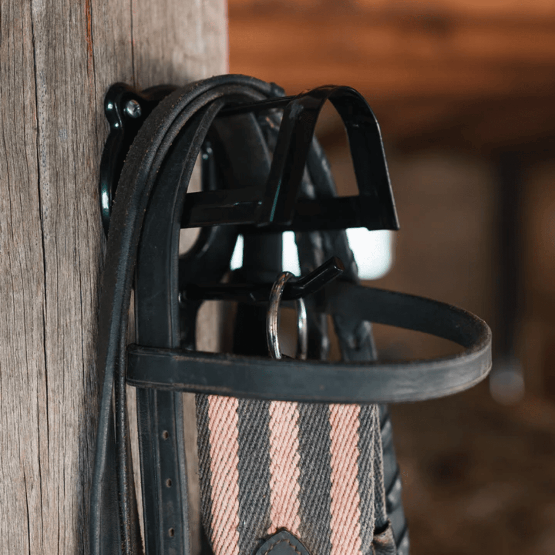 Academy Bridle Rack - Saddleworld Devonport