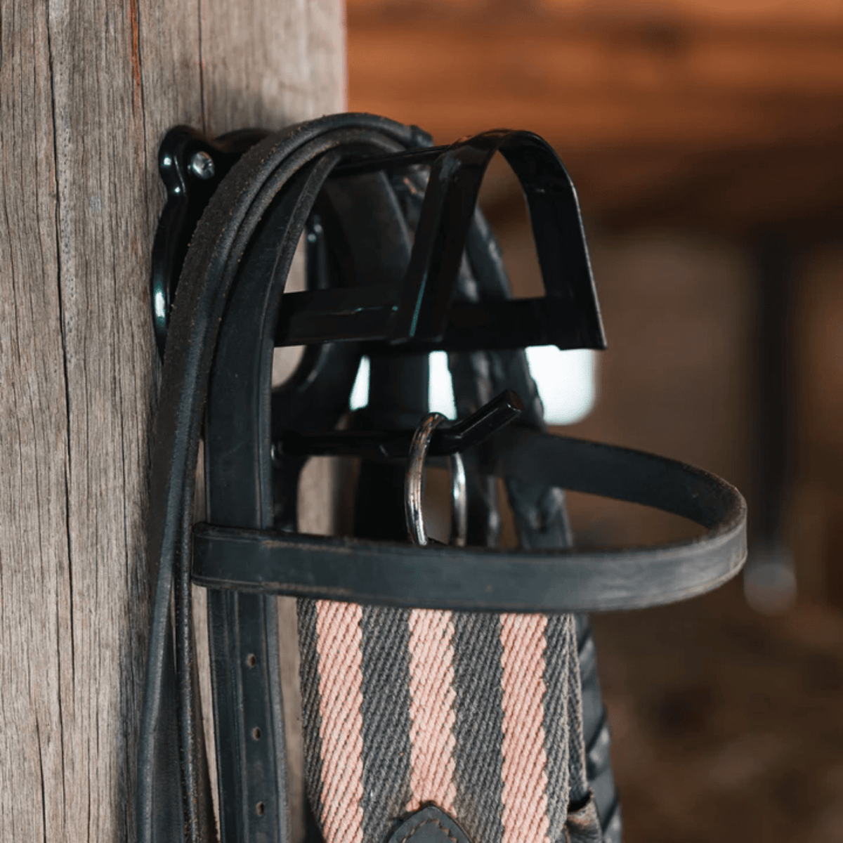 Academy Bridle Rack - Saddleworld Devonport