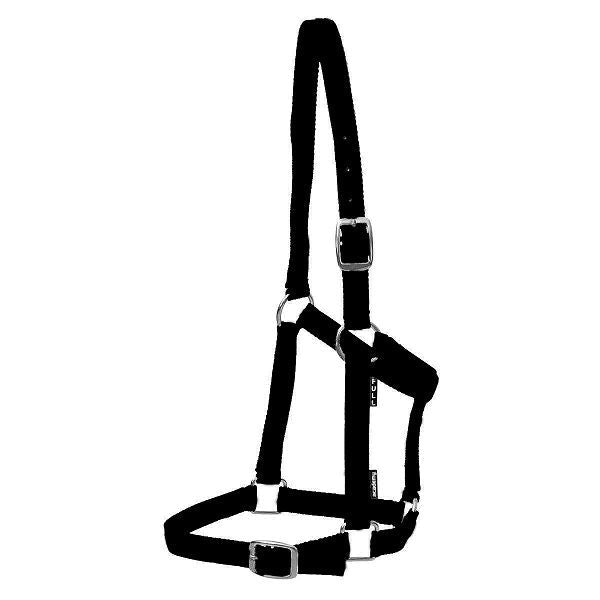 Academy Halter - Saddleworld Devonport