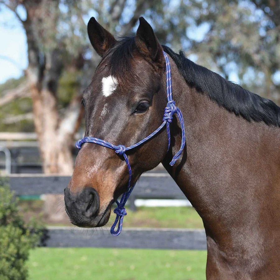 Academy Rope Halter - Saddleworld Devonport