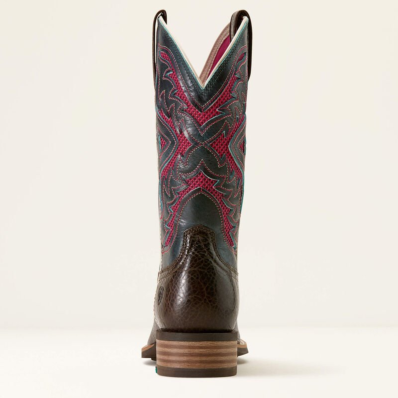 Ariat Womens San Angelo Venttek 360 - Saddleworld Devonport