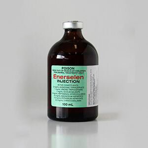 Ausrichter Enerselen Injection - Saddleworld Devonport