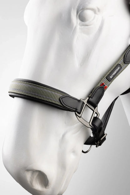 B Vertigo Lennox Leather Halter - Saddleworld Devonport