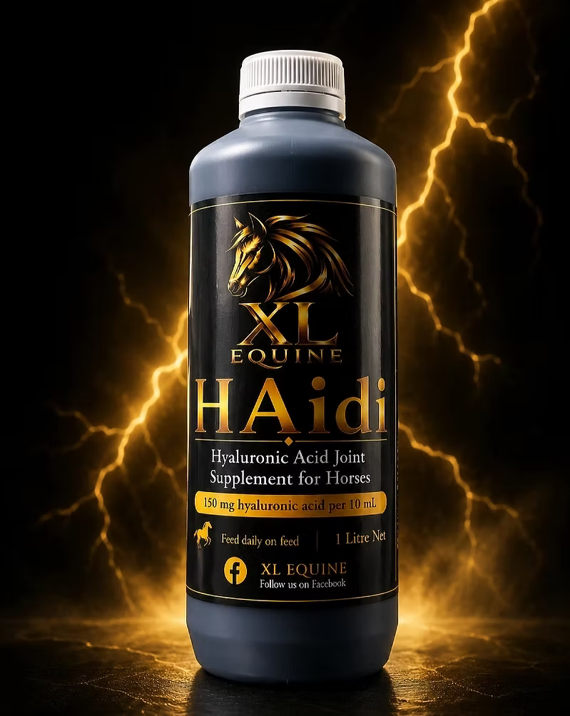 XL Equine H Aidi 1L