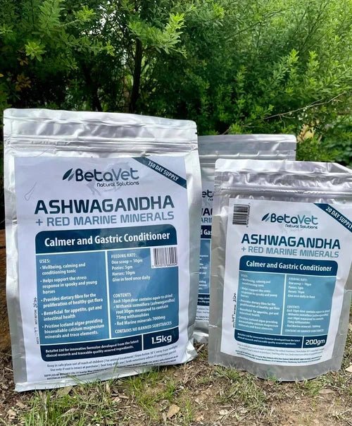Betavet Ashwagandha + RMM - Saddleworld Devonport