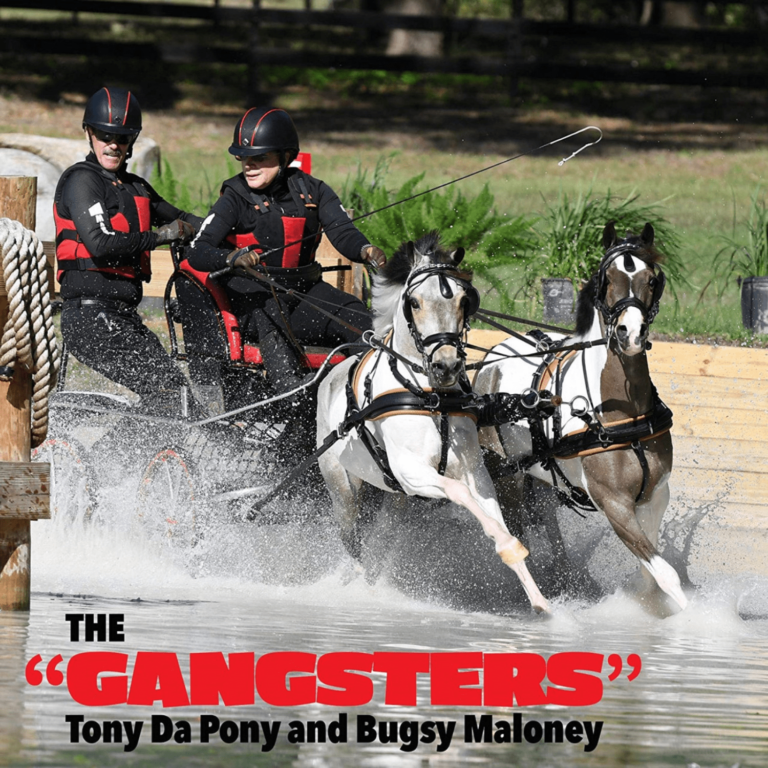Breyer Traditional Gansters Tony Da Pony - Saddleworld Devonport