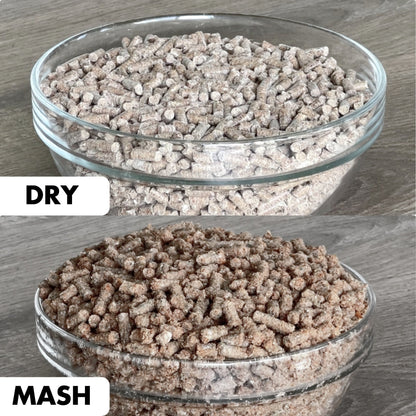 Cen Grain Free Ultimate Feed 20kg - Saddleworld Devonport