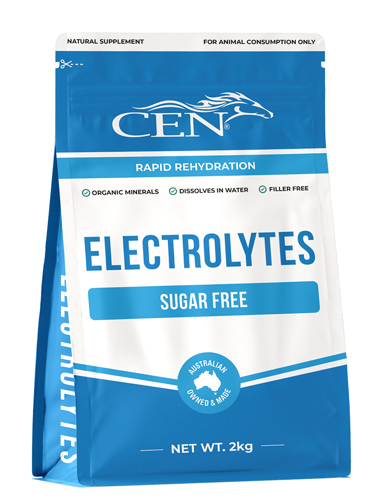 CEN Macrobiotic Crystal Salt 2kg - Saddleworld Devonport