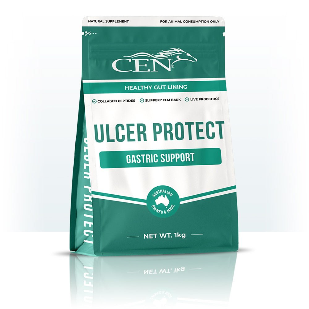 Cen Ulcer Protect 1Kg - Saddleworld Devonport