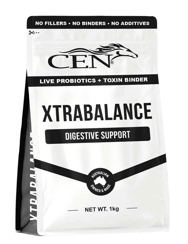 CEN XtraBalance - Saddleworld Devonport