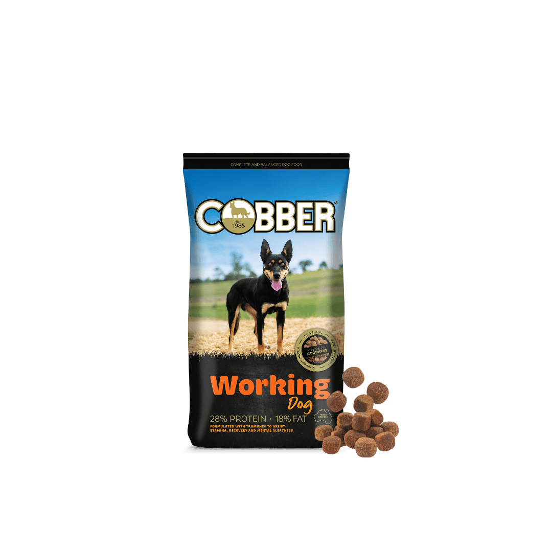 Cobber Working Dog 20kg - Saddleworld Devonport
