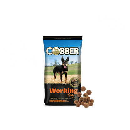Cobber Working Dog 20kg - Saddleworld Devonport