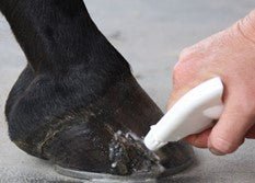 Donnybrook Hoof Wash - Saddleworld Devonport