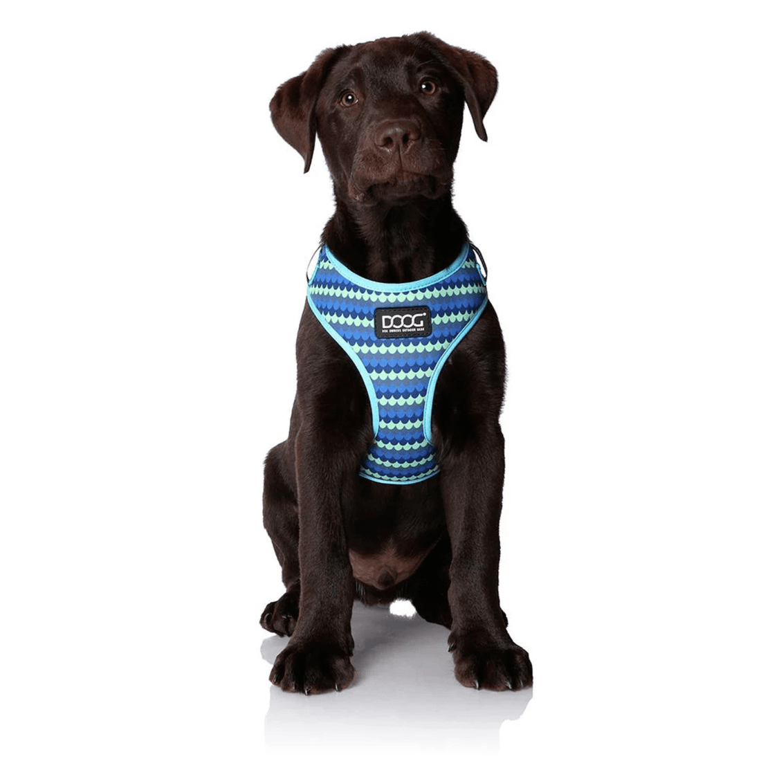 DOOG Neoflex Soft Harness - Saddleworld Devonport