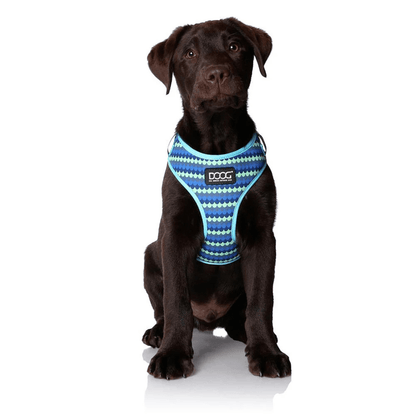 DOOG Neoflex Soft Harness - Saddleworld Devonport
