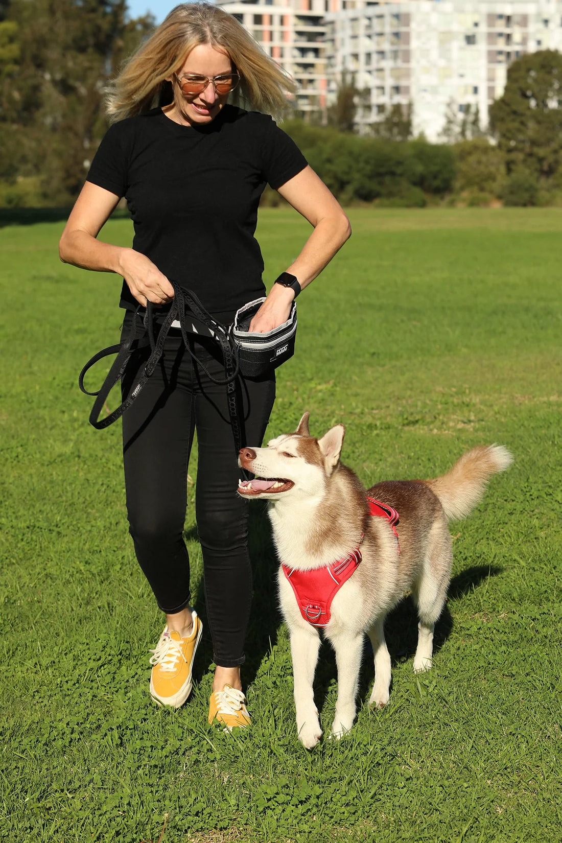 Doog Treat and Training Pouch - Saddleworld Devonport