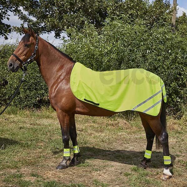 Elico Aurora Reflective Exercise Sheet - Saddleworld Devonport