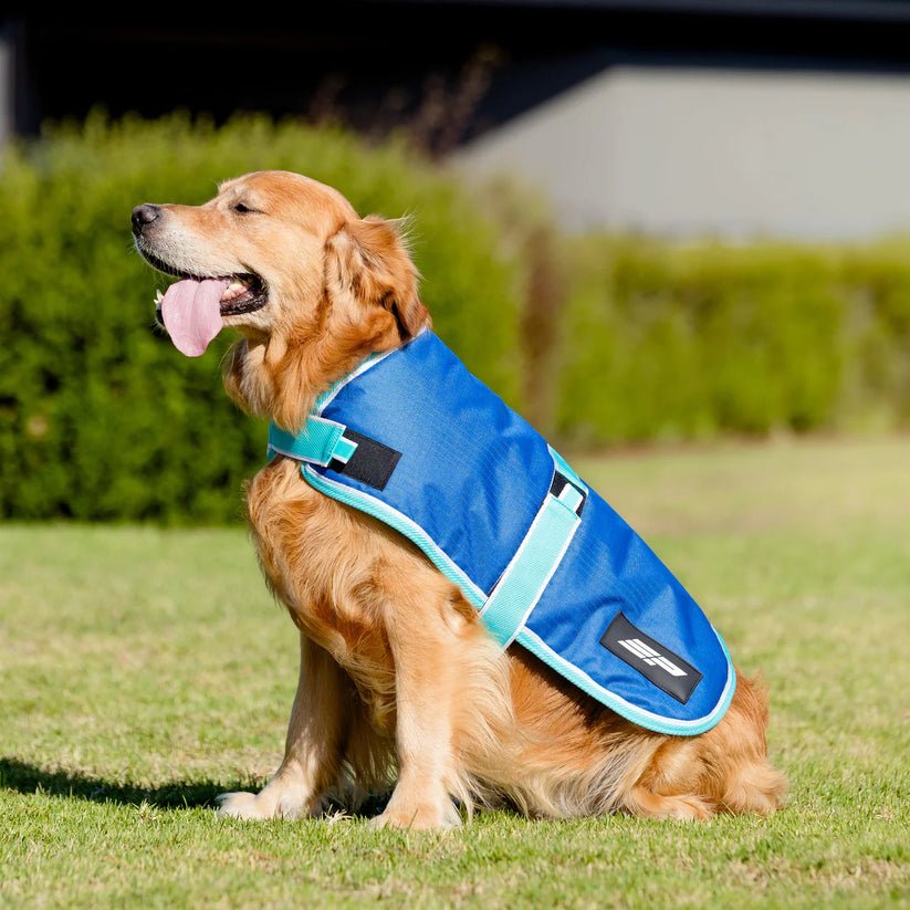 EquestPro Blue Bolt 100 gm 600 Denier Dog Rug - Saddleworld Devonport