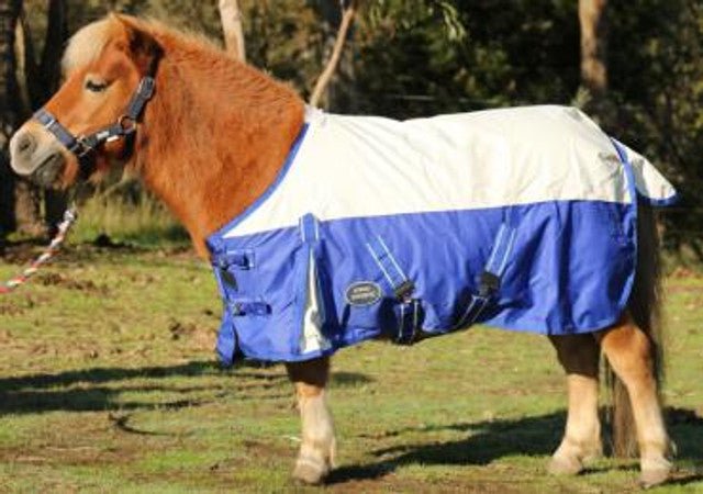 Eureka Miniature Synthetic Summer Combo - Saddleworld Devonport