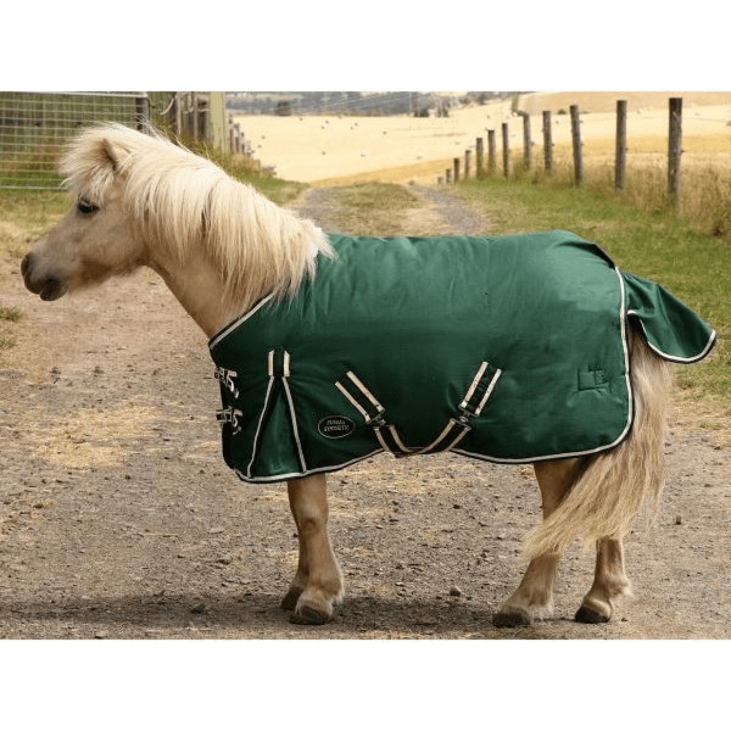 Eureka Miniature Synthetic Winter Rug - Saddleworld Devonport