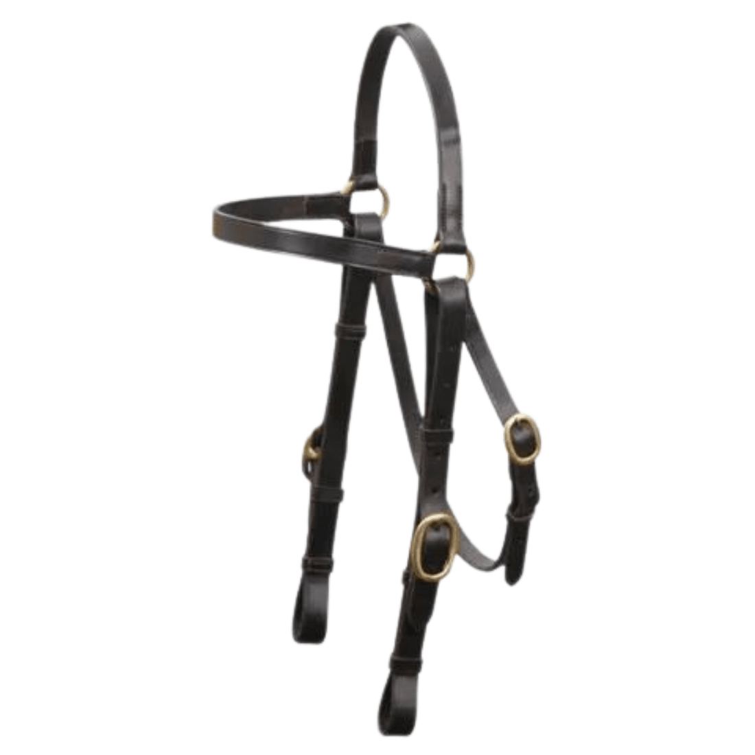 Eurohunter Barcoo Bridle - Saddleworld Devonport