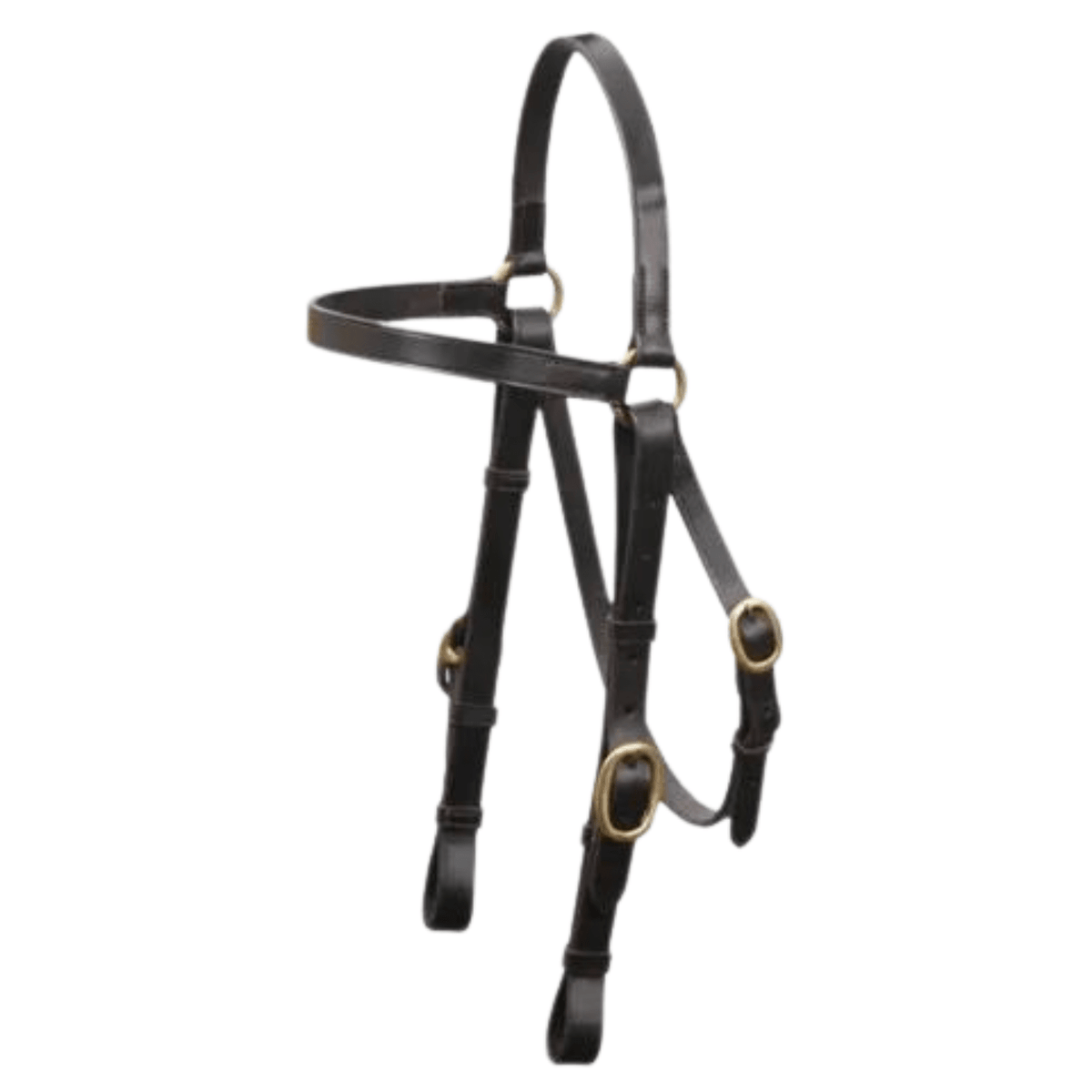 Eurohunter Barcoo Bridle - Saddleworld Devonport