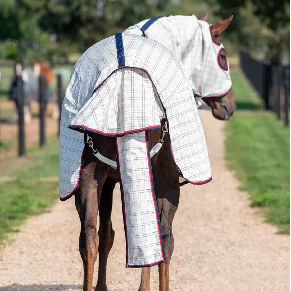 Eurohunter Brisa Tail Bag - Saddleworld Devonport