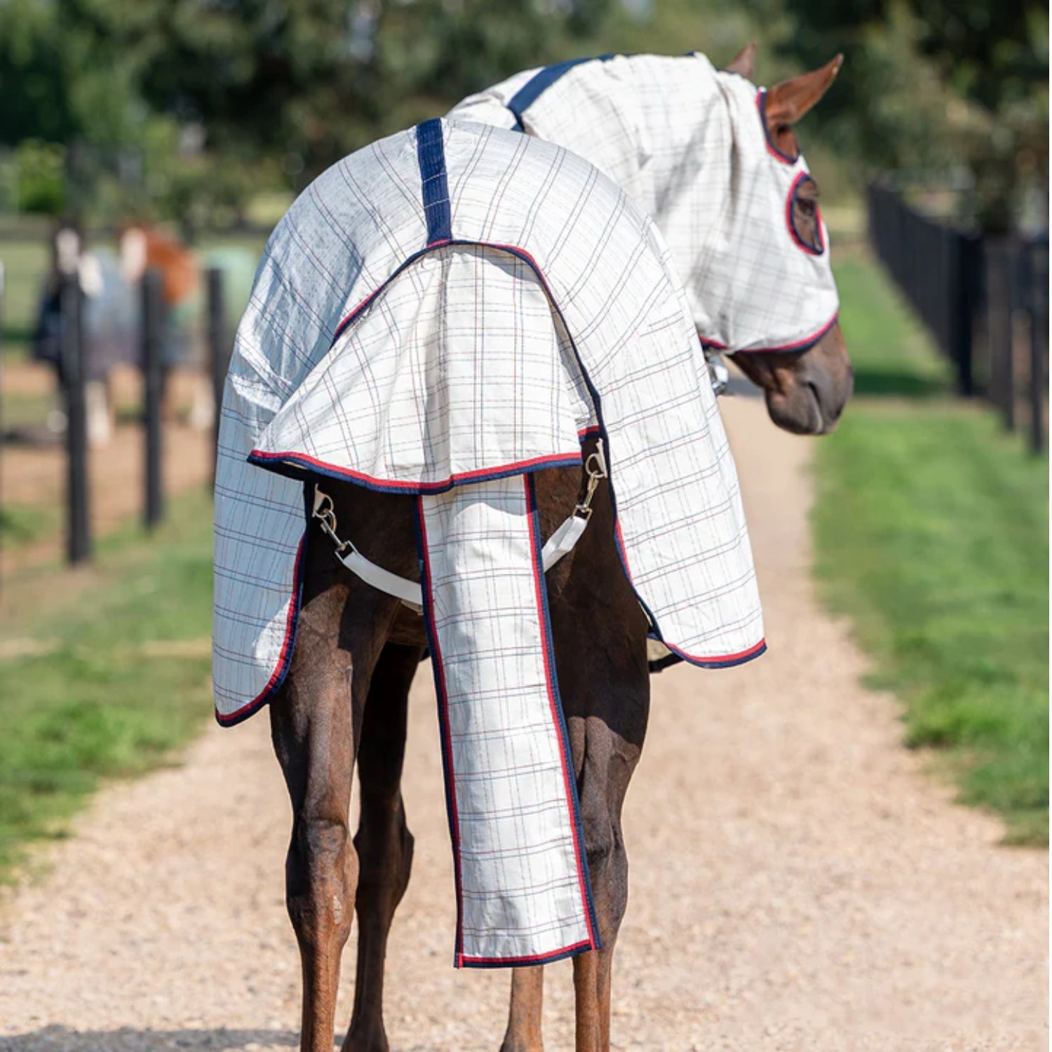 Eurohunter Brisa Tail Bag - Saddleworld Devonport