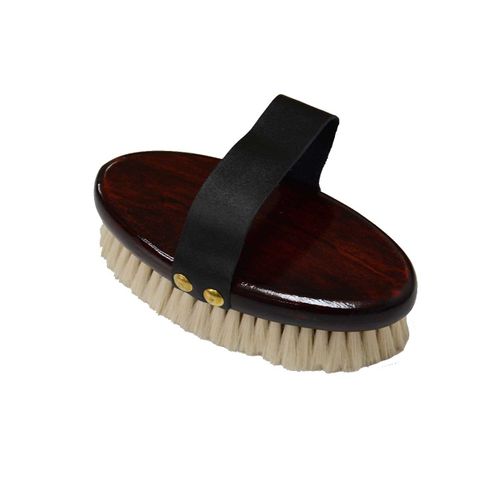 Eurohunter Classic Body Brush with Goat Hair - Saddleworld Devonport