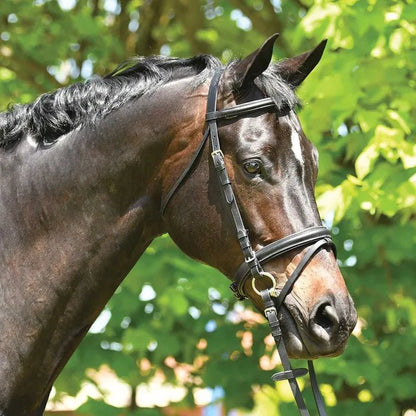 Eurohunter Dressage Snaffle Bridle - Saddleworld Devonport