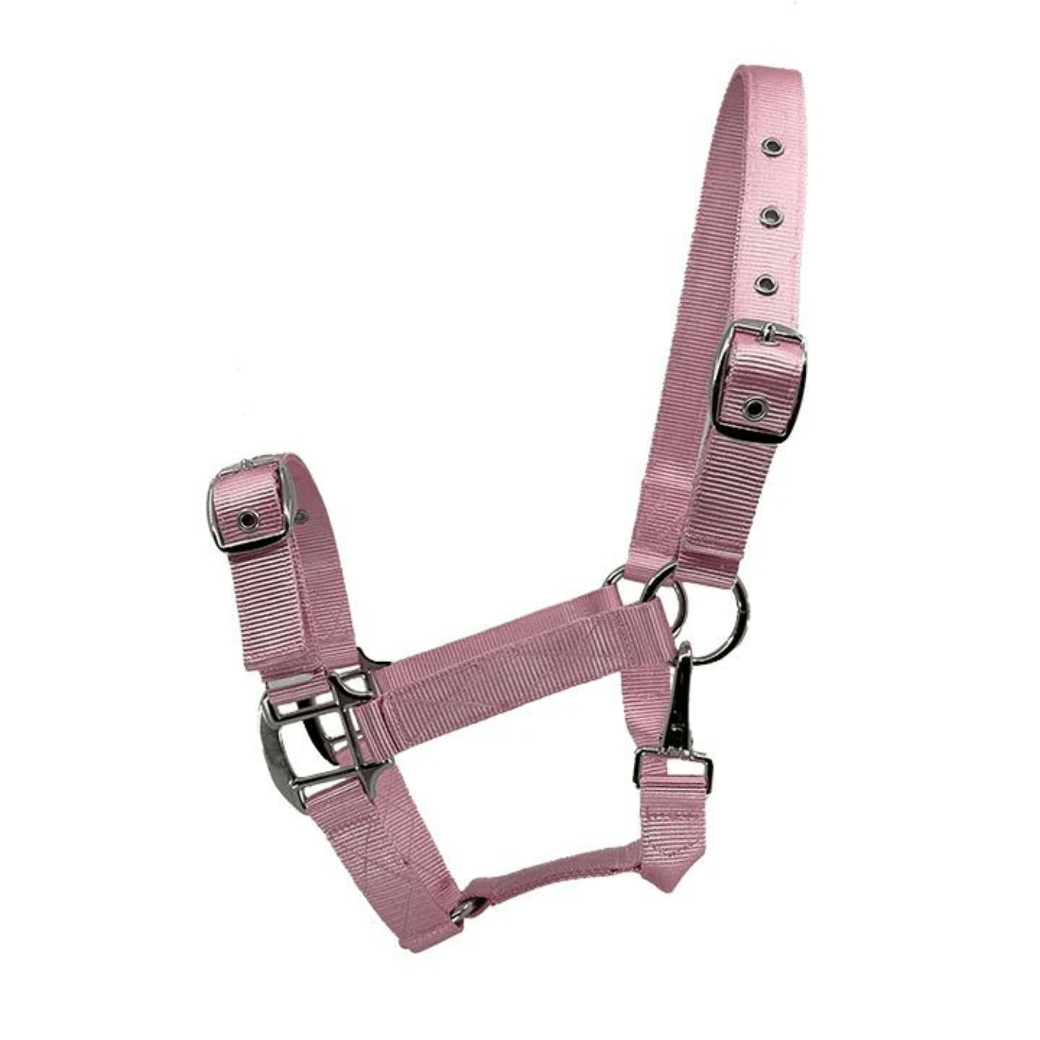 Eurohunter Essential Halter - Saddleworld Devonport