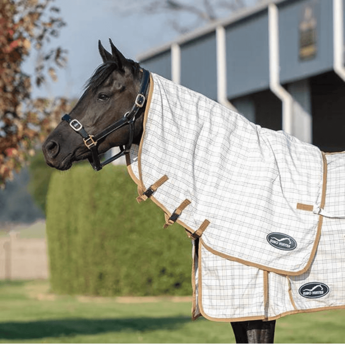 Eurohunter Grand National Cross-Over Neck Rug - Saddleworld Devonport