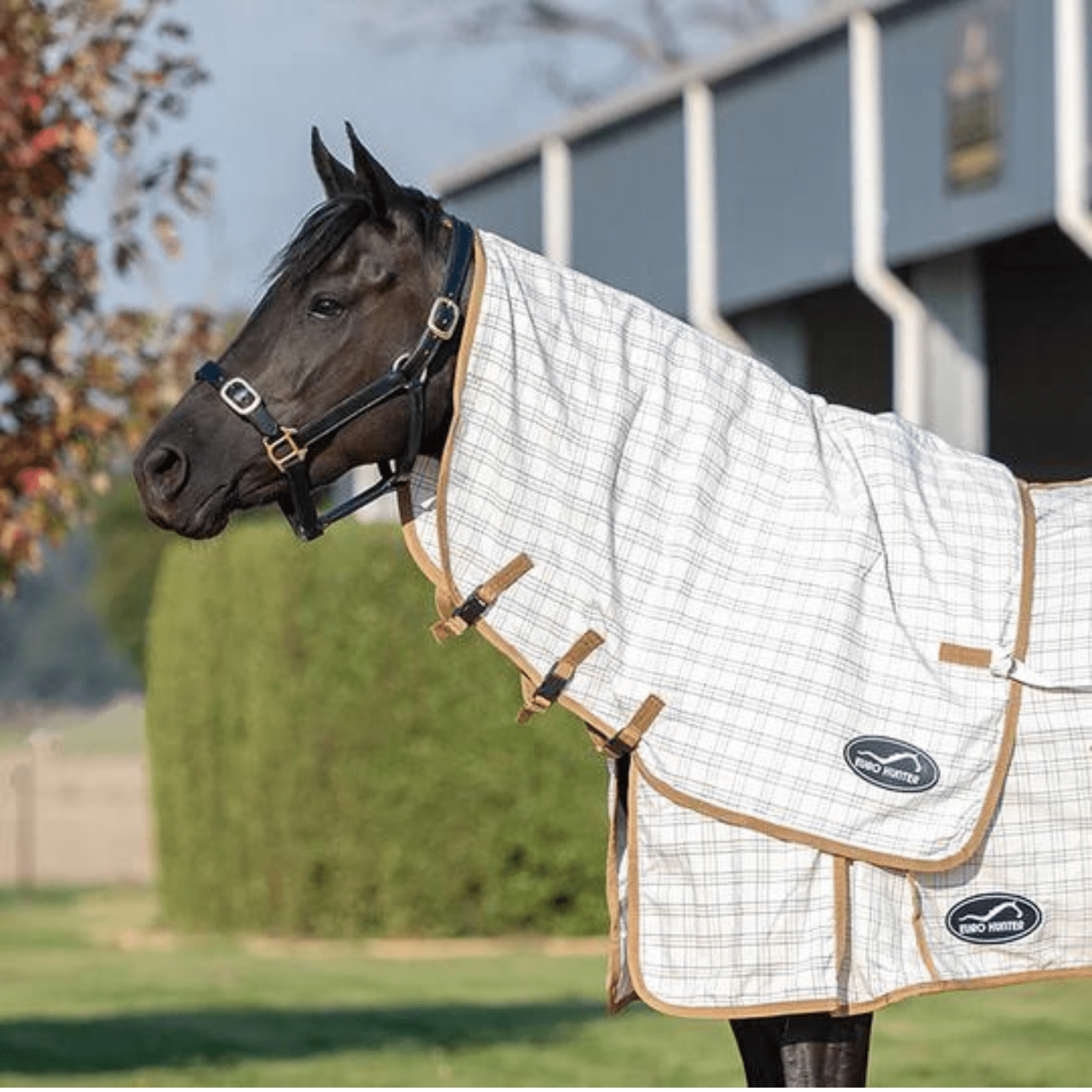 Eurohunter Grand National Cross-Over Neck Rug - Saddleworld Devonport