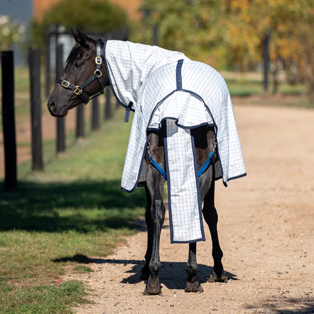 Eurohunter Grand National Deluxe Tail Bag - Saddleworld Devonport