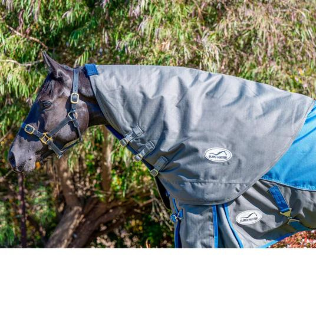 Eurohunter Neck Rug 1200D/180G - Saddleworld Devonport