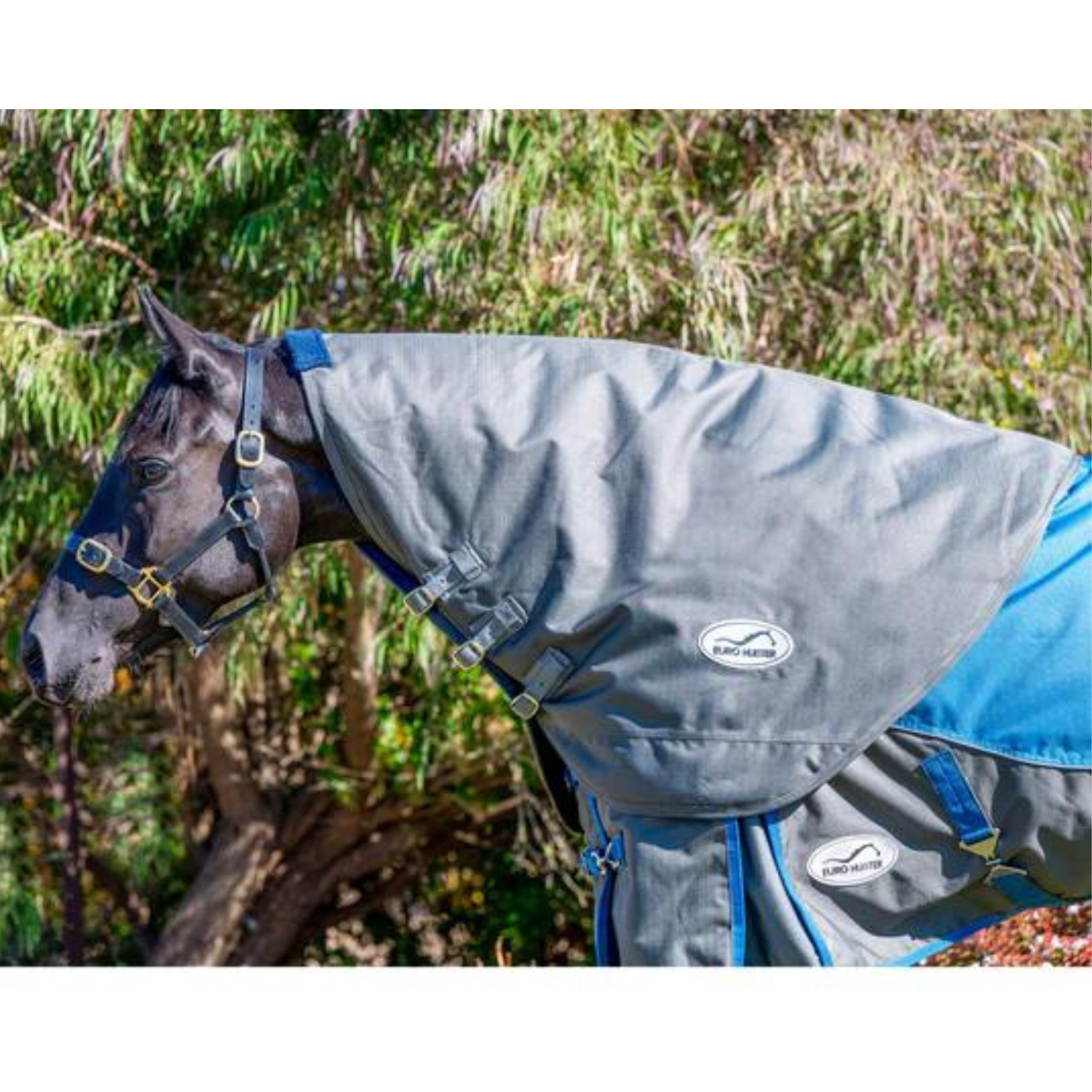 Eurohunter Neck Rug 600D/180G - Saddleworld Devonport