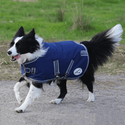 Eurohunter New Ironbark Dog Rug - Saddleworld Devonport