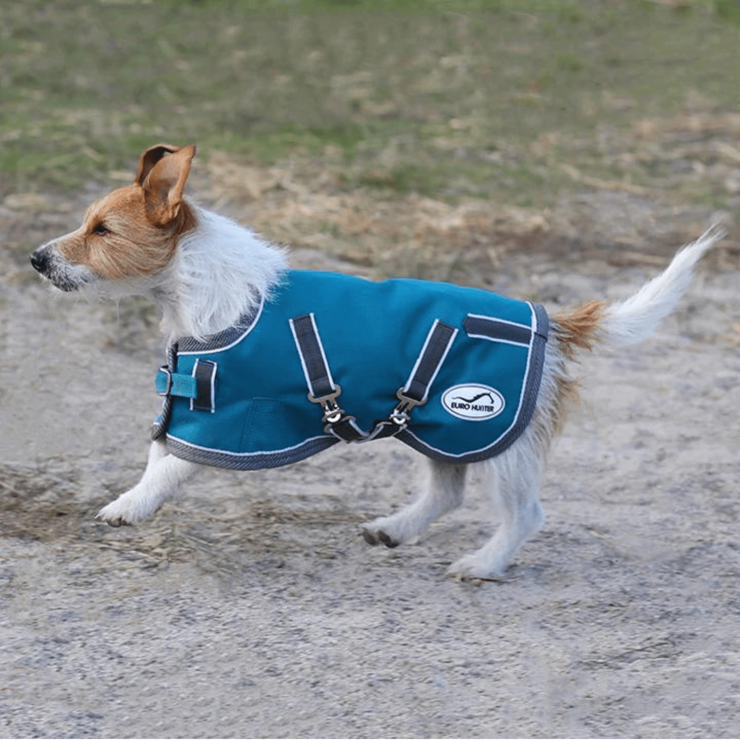 Eurohunter New Thredbo Dog Rug - Saddleworld Devonport