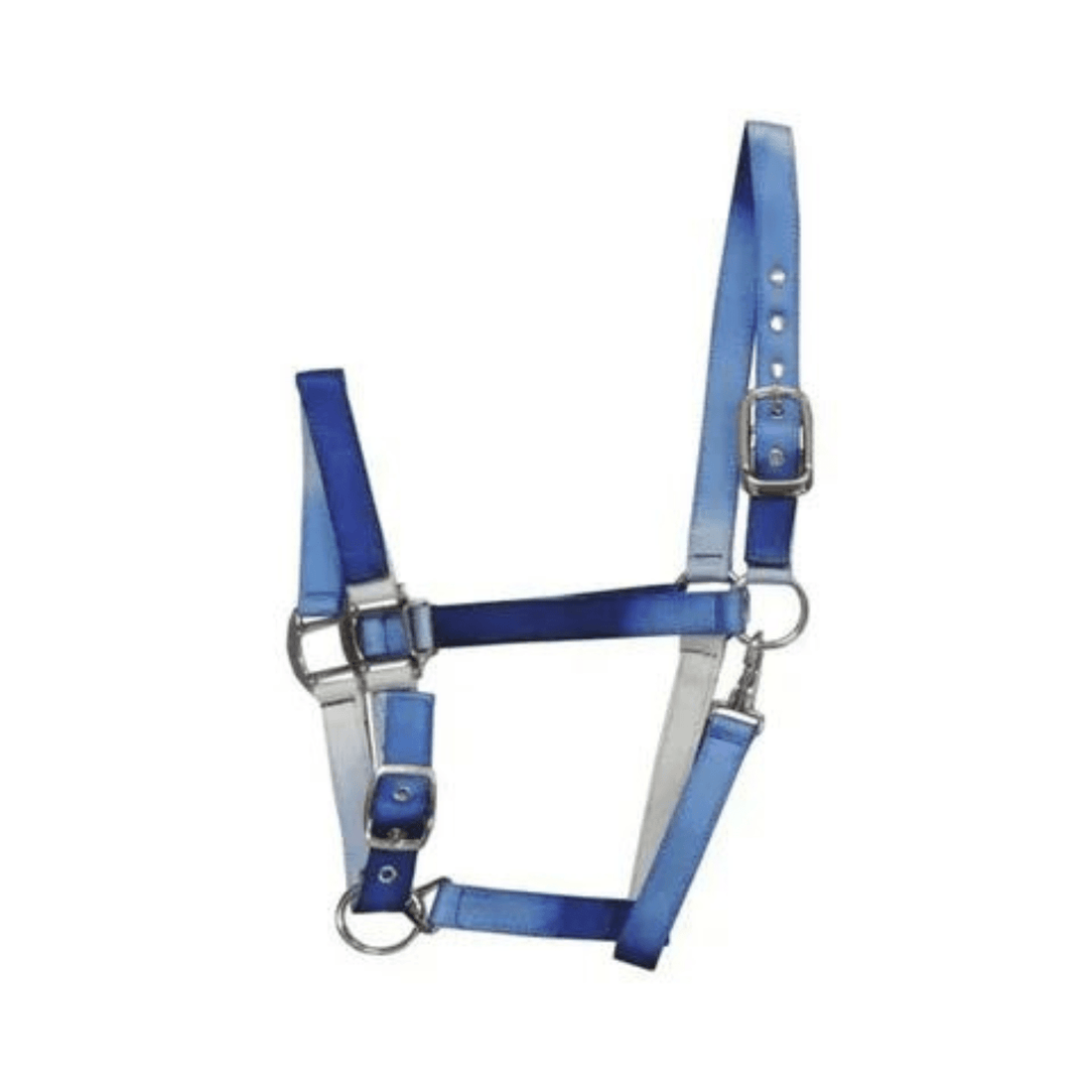 Eurohunter Ombre Halter - Saddleworld Devonport
