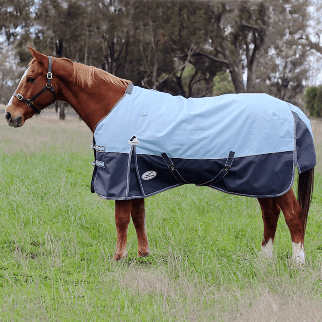 Eurohunter Townsend Rug (1200 Denier/ 100 Gram Fill) - Saddleworld Devonport
